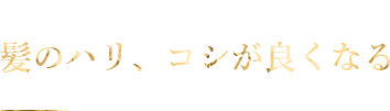 Efficacy 02 髪のハリ、コシが良くなる