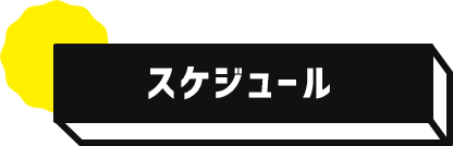 スケジュール