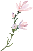 装飾