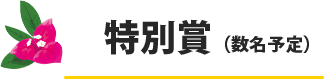 特別賞(数名予定)