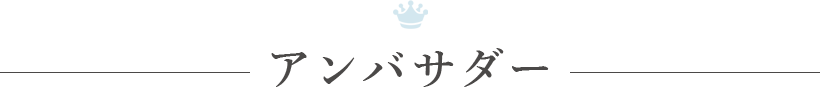 アンバサダー