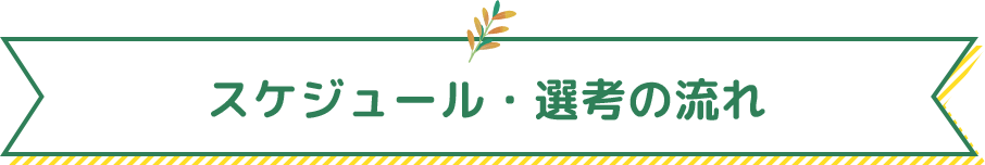 スケジュール・選考の流れ