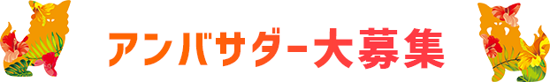 アンバサダー大募集