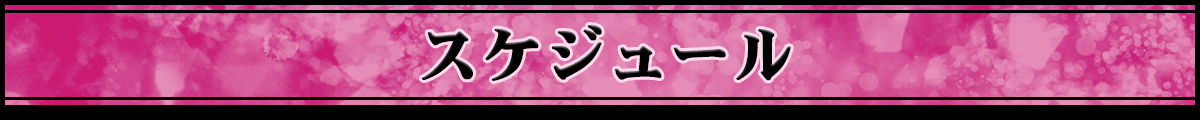 スケジュール