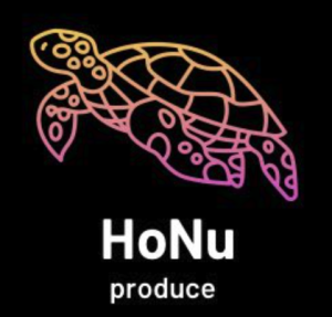 HoNuプロデュース
