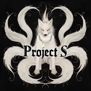 Project S