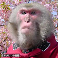 チャーリー