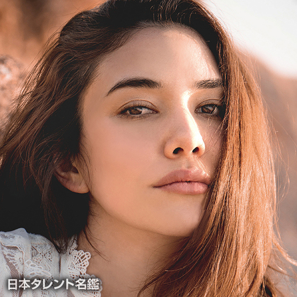 テイラー 鈴木